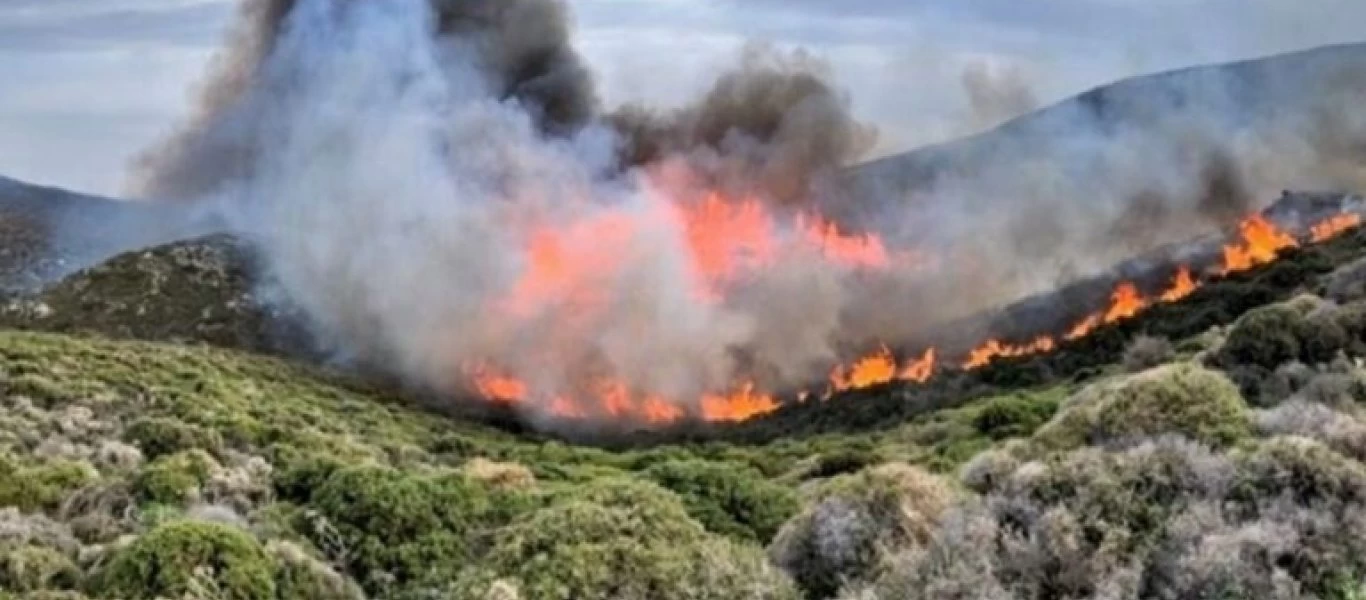Νέος συναγερμός στην Πυροσβεστική: Φωτιά στα Βίλια Αττικής
